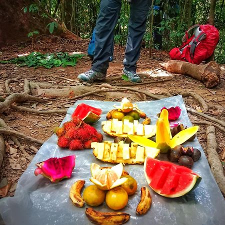 Jungle Life Guest House - Trekking & Transport Only Book With Us Bukit Lawang Εξωτερικό φωτογραφία