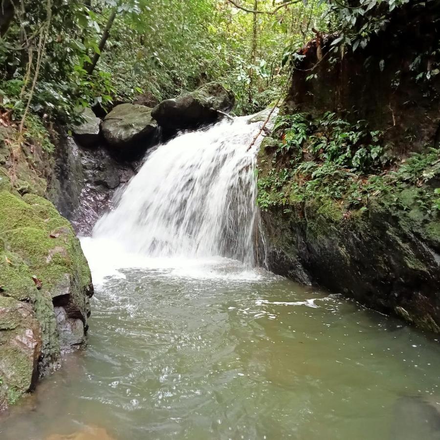Jungle Life Guest House - Trekking & Transport Only Book With Us Bukit Lawang Εξωτερικό φωτογραφία
