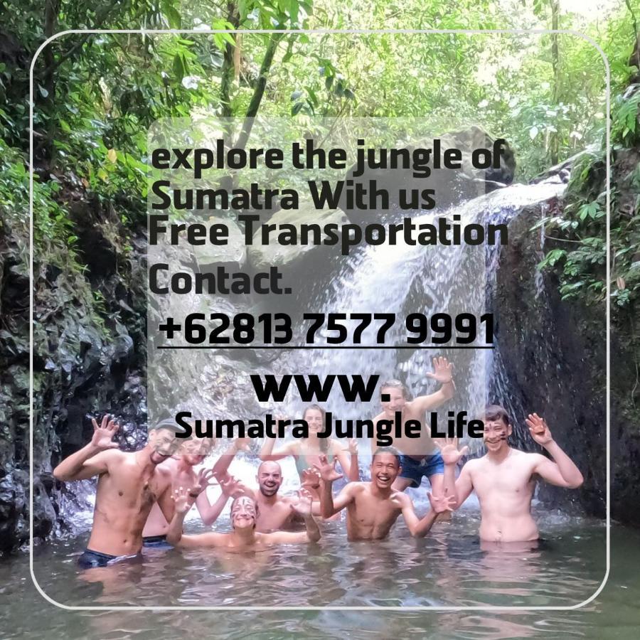 Jungle Life Guest House - Trekking & Transport Only Book With Us Bukit Lawang Εξωτερικό φωτογραφία