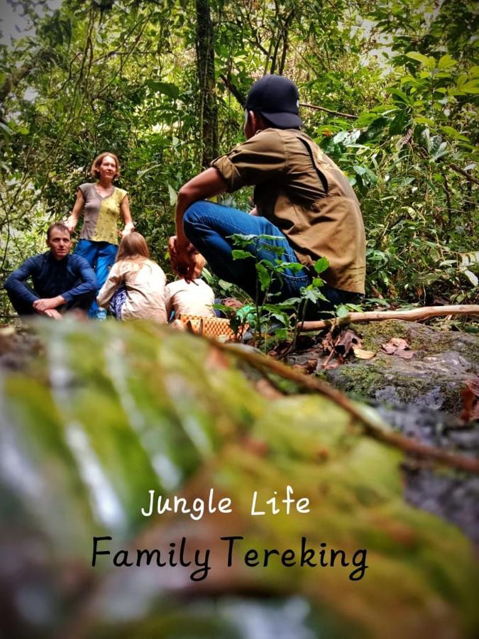 Jungle Life Guest House - Trekking & Transport Only Book With Us Bukit Lawang Εξωτερικό φωτογραφία