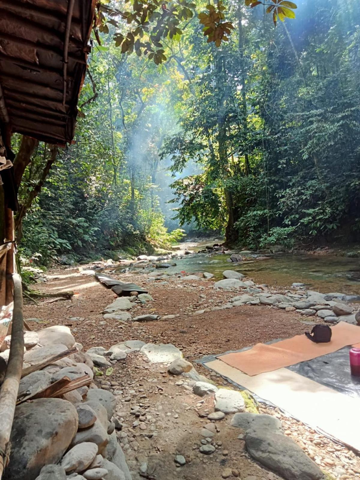 Jungle Life Guest House - Trekking & Transport Only Book With Us Bukit Lawang Εξωτερικό φωτογραφία
