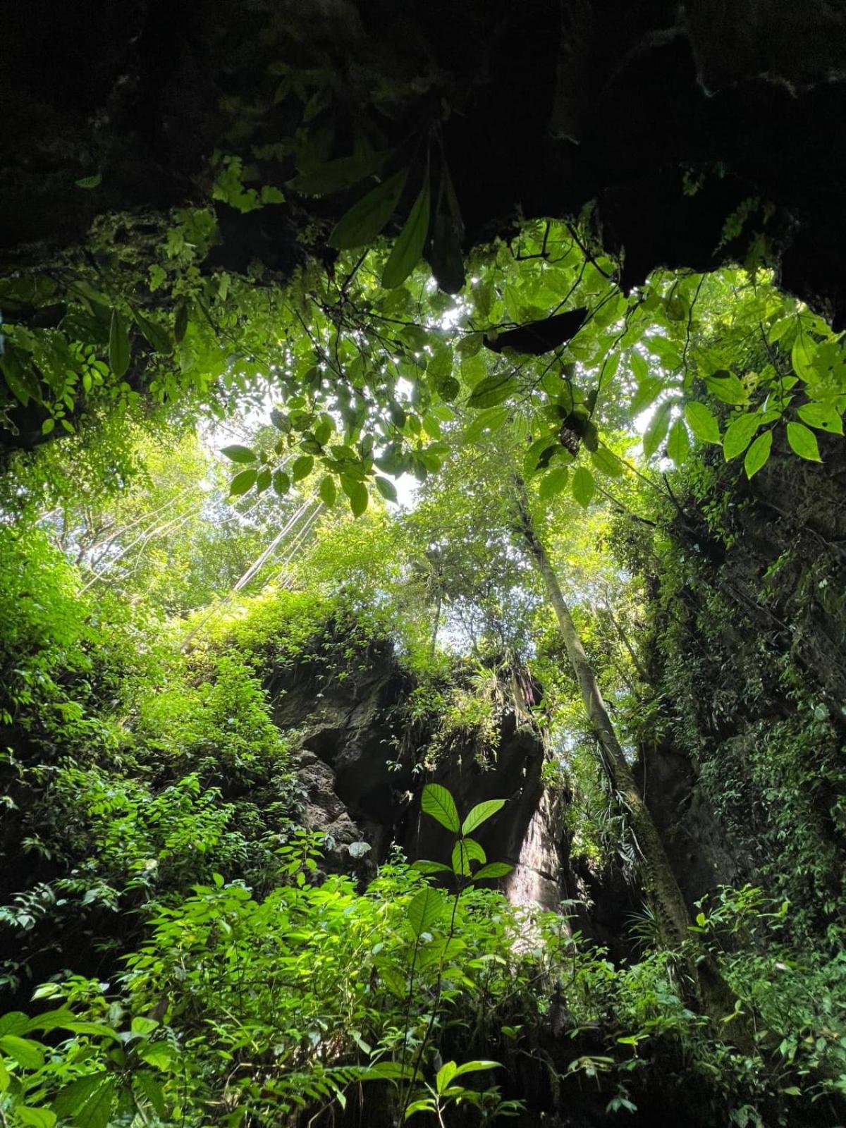 Jungle Life Guest House - Trekking & Transport Only Book With Us Bukit Lawang Εξωτερικό φωτογραφία