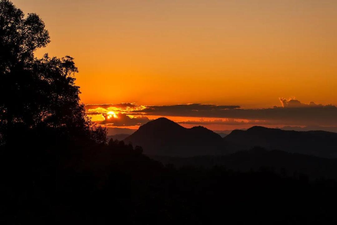 Jungle Life Guest House - Trekking & Transport Only Book With Us Bukit Lawang Εξωτερικό φωτογραφία
