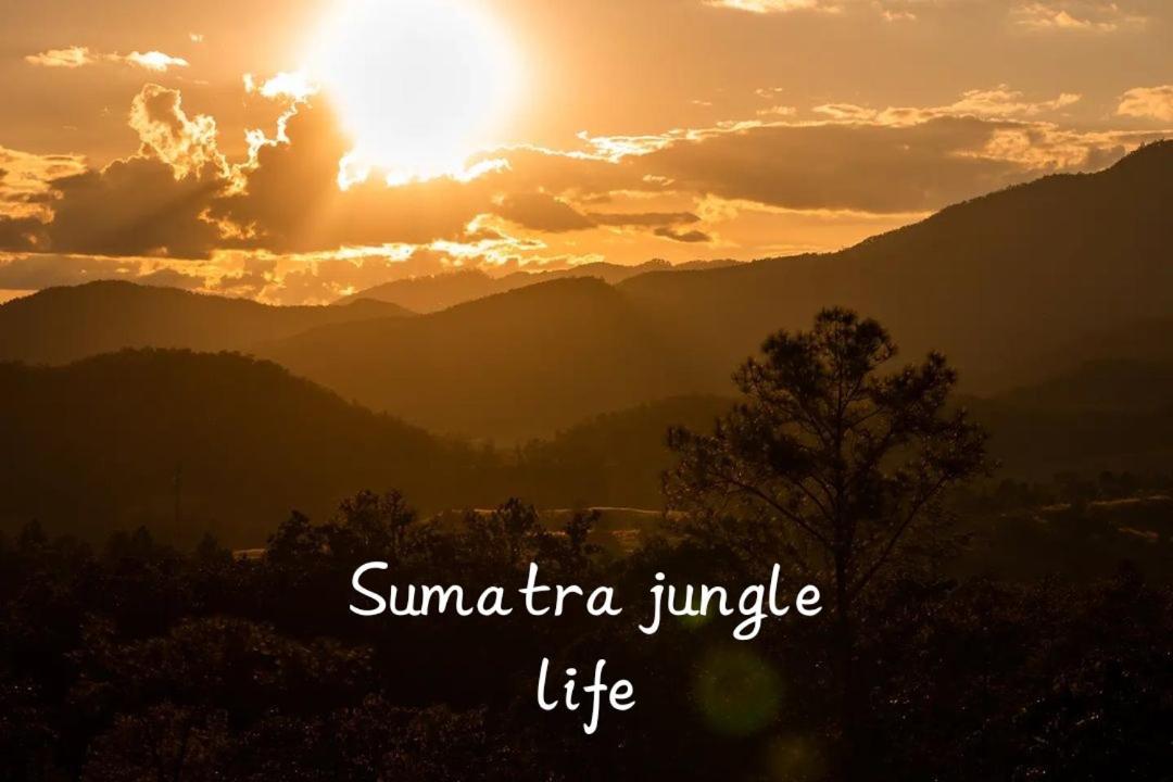 Jungle Life Guest House - Trekking & Transport Only Book With Us Bukit Lawang Εξωτερικό φωτογραφία