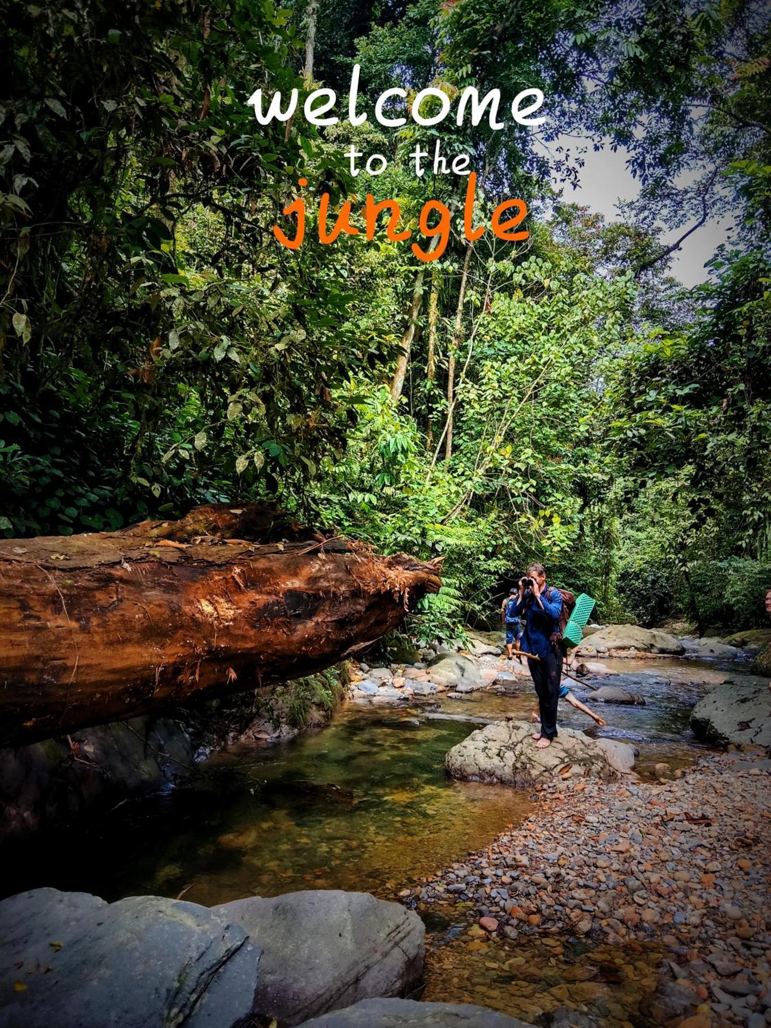 Jungle Life Guest House - Trekking & Transport Only Book With Us Bukit Lawang Εξωτερικό φωτογραφία