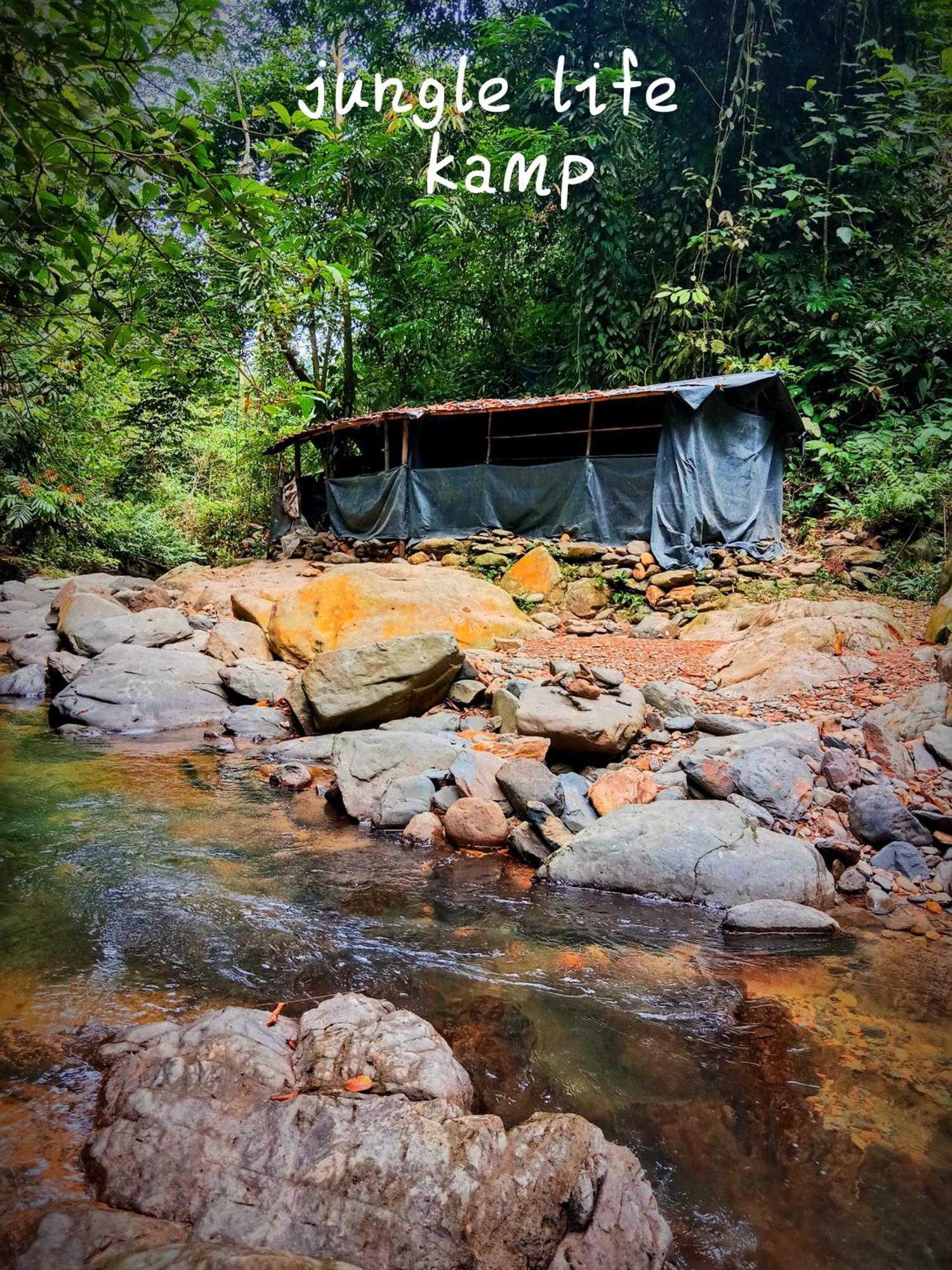 Jungle Life Guest House - Trekking & Transport Only Book With Us Bukit Lawang Εξωτερικό φωτογραφία