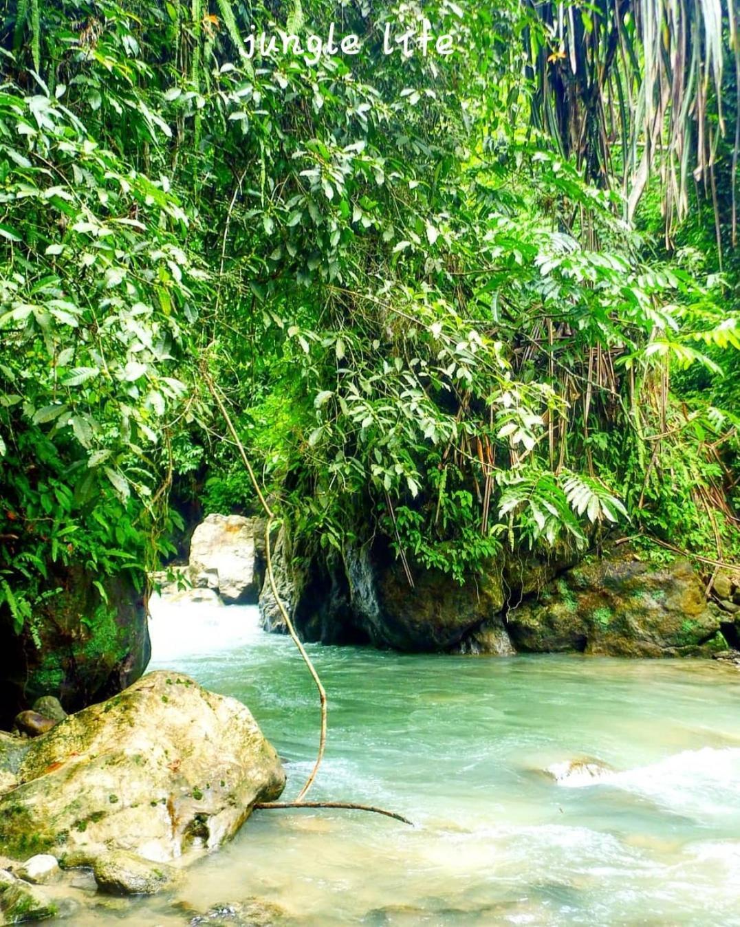 Jungle Life Guest House - Trekking & Transport Only Book With Us Bukit Lawang Εξωτερικό φωτογραφία