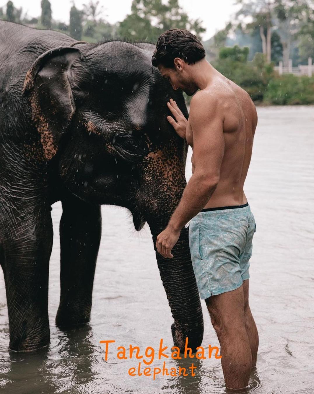 Jungle Life Guest House - Trekking & Transport Only Book With Us Bukit Lawang Εξωτερικό φωτογραφία