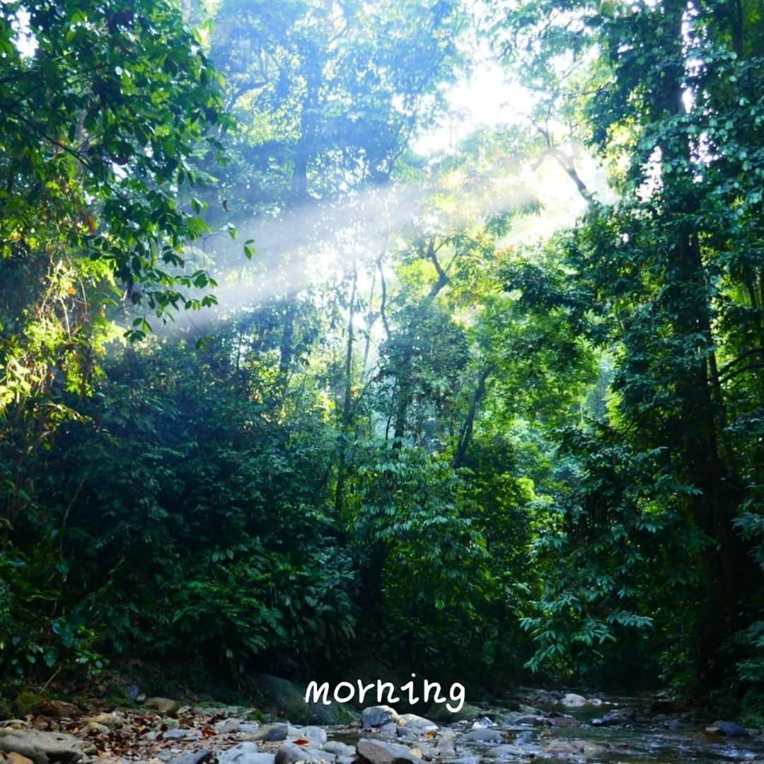 Jungle Life Guest House - Trekking & Transport Only Book With Us Bukit Lawang Εξωτερικό φωτογραφία