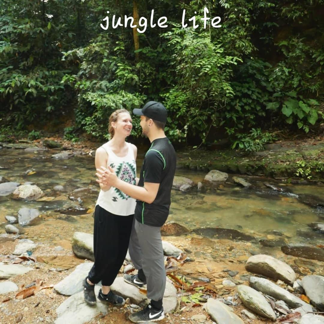 Jungle Life Guest House - Trekking & Transport Only Book With Us Bukit Lawang Εξωτερικό φωτογραφία