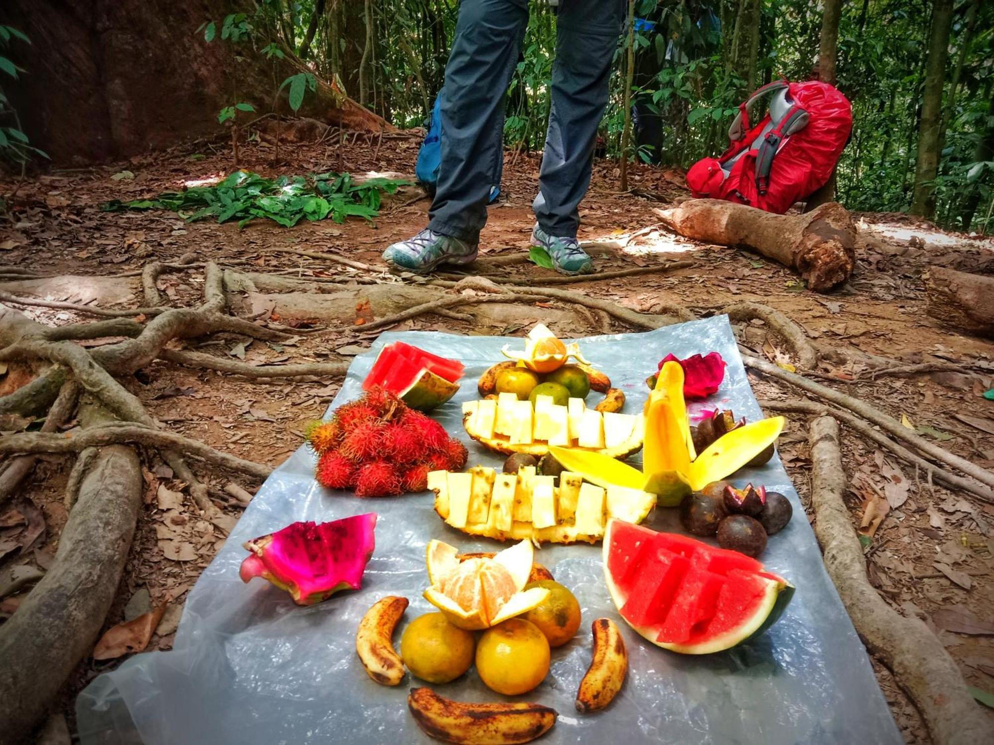Jungle Life Guest House - Trekking & Transport Only Book With Us Bukit Lawang Εξωτερικό φωτογραφία