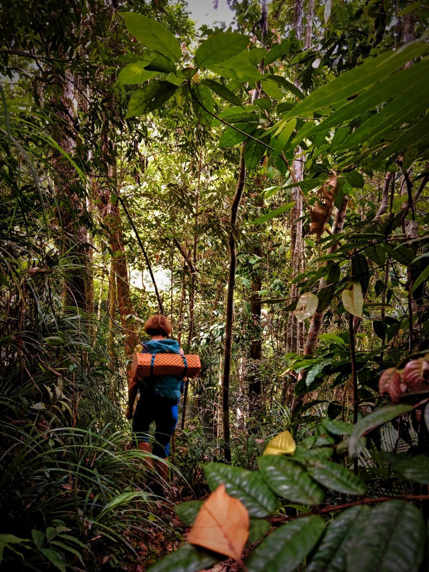 Jungle Life Guest House - Trekking & Transport Only Book With Us Bukit Lawang Εξωτερικό φωτογραφία