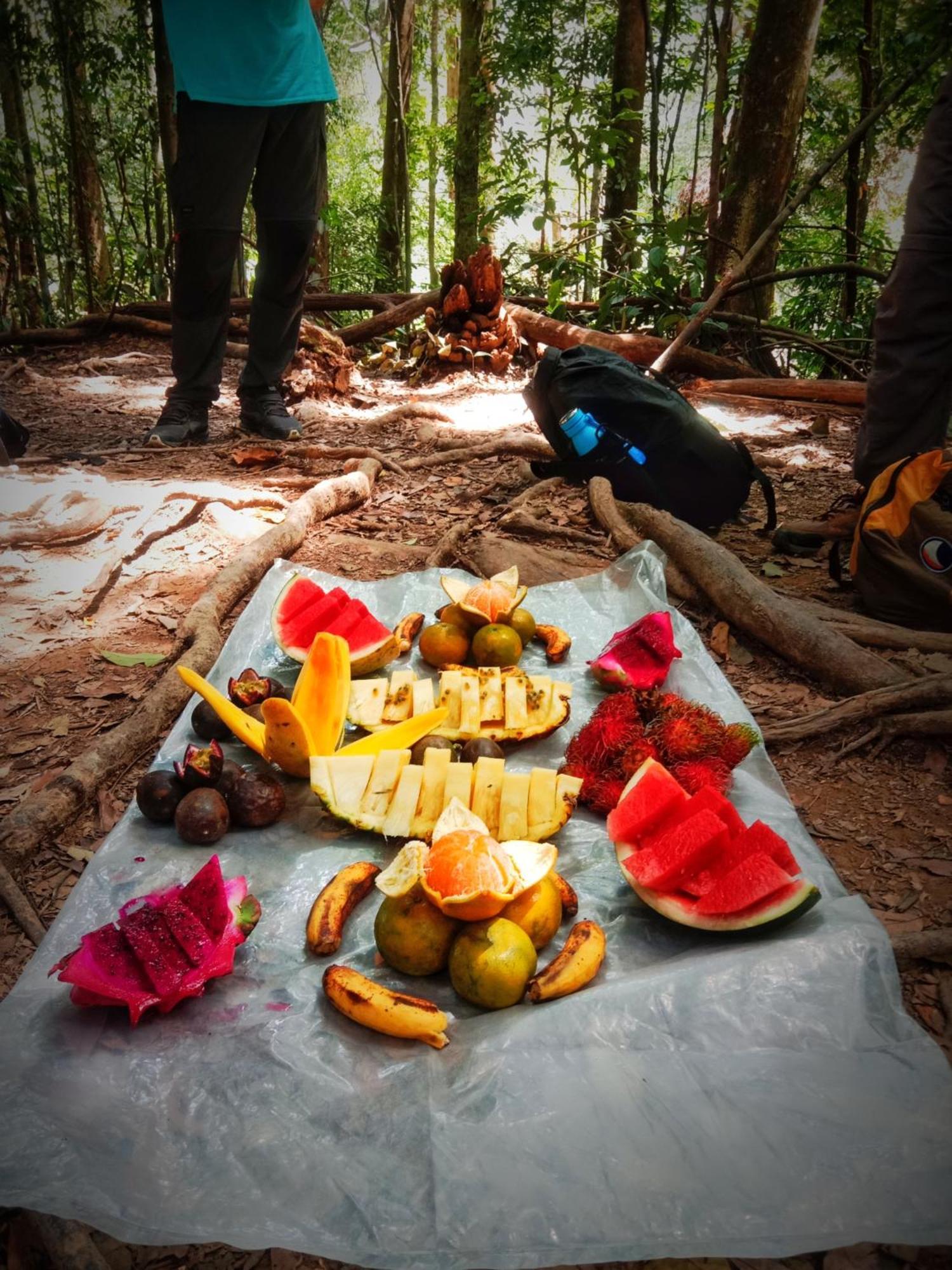 Jungle Life Guest House - Trekking & Transport Only Book With Us Bukit Lawang Εξωτερικό φωτογραφία