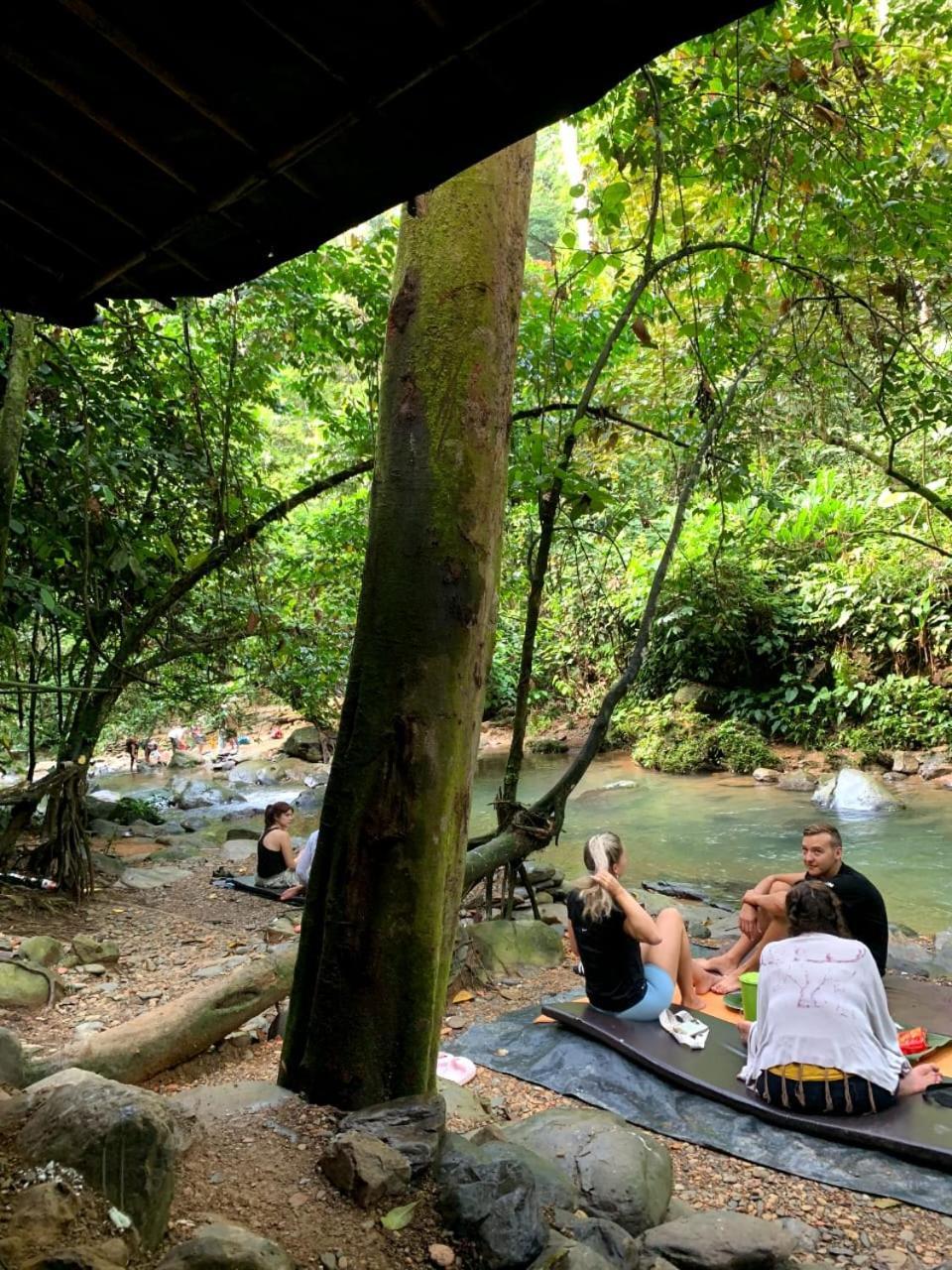 Jungle Life Guest House - Trekking & Transport Only Book With Us Bukit Lawang Εξωτερικό φωτογραφία